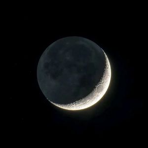 两根黑人粗大噗嗤噗嗤小说
